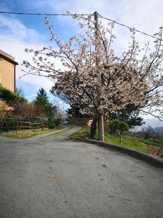Fegino B&B Genova Country المظهر الخارجي الصورة